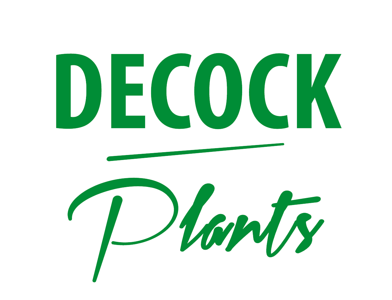 Decock Plants Komen & Mojo Ethiopië