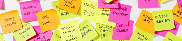 Action Plan Management (APM)